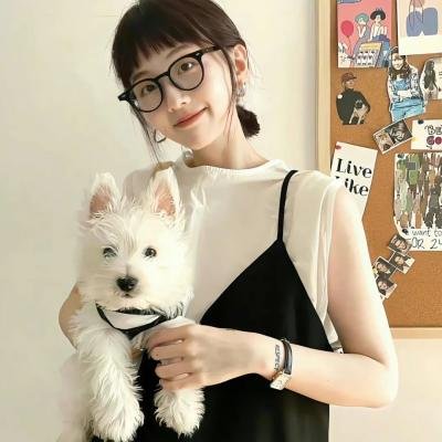完美伴侣